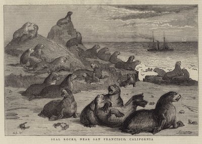 Seal Rocks, near San Francisco, California by Samuel Edmund Waller